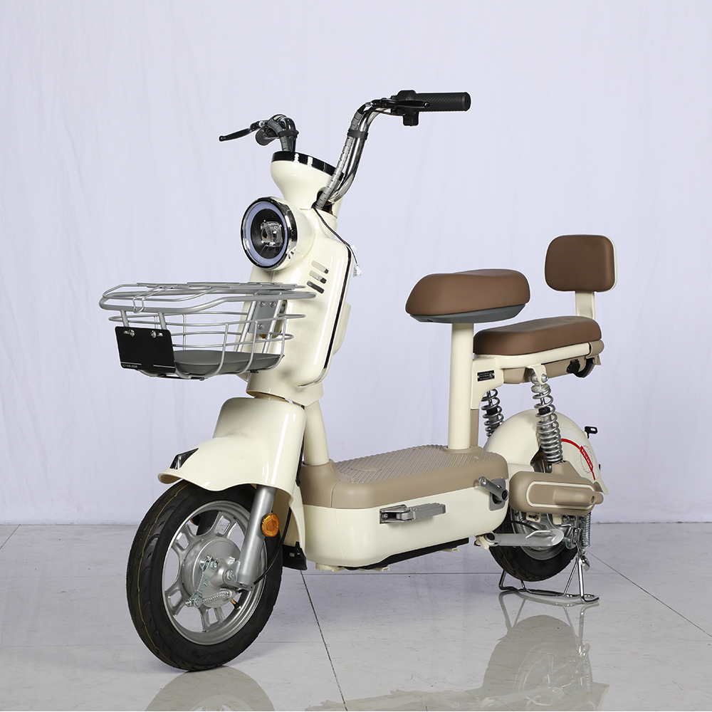 Electric bike parts